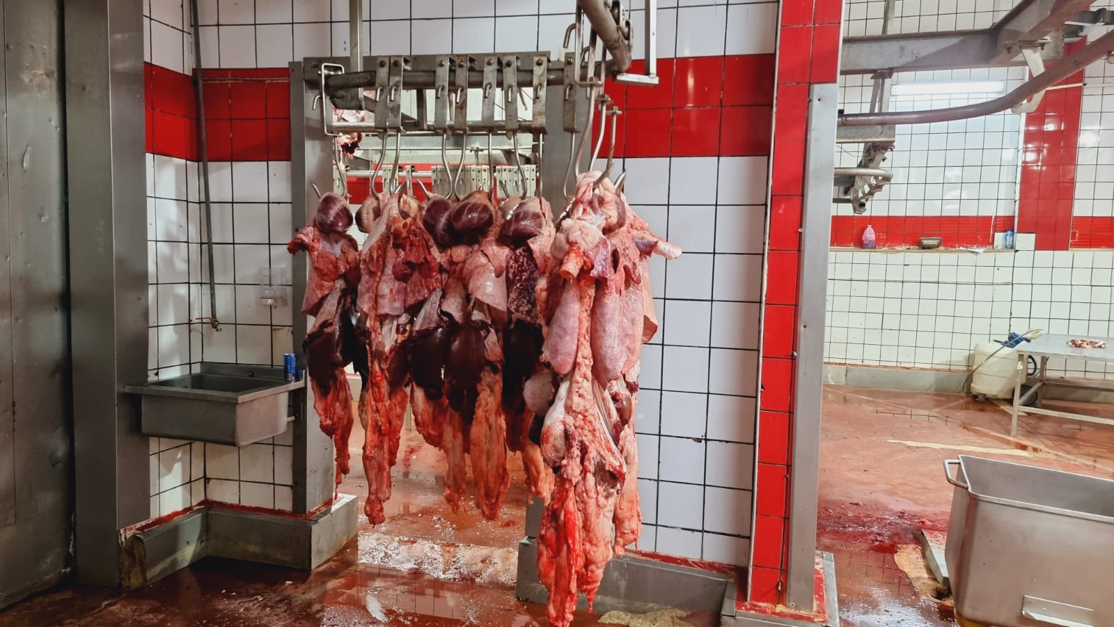 WhatsApp Image 2021-07-20 at 11.48.28 AM.jpeg